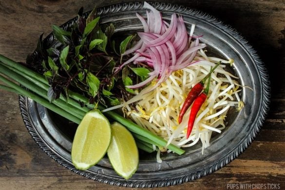 Bun Bo Hue (Spicy Vietnamese Beef Noodle Soup) - Pups with Chopsticks