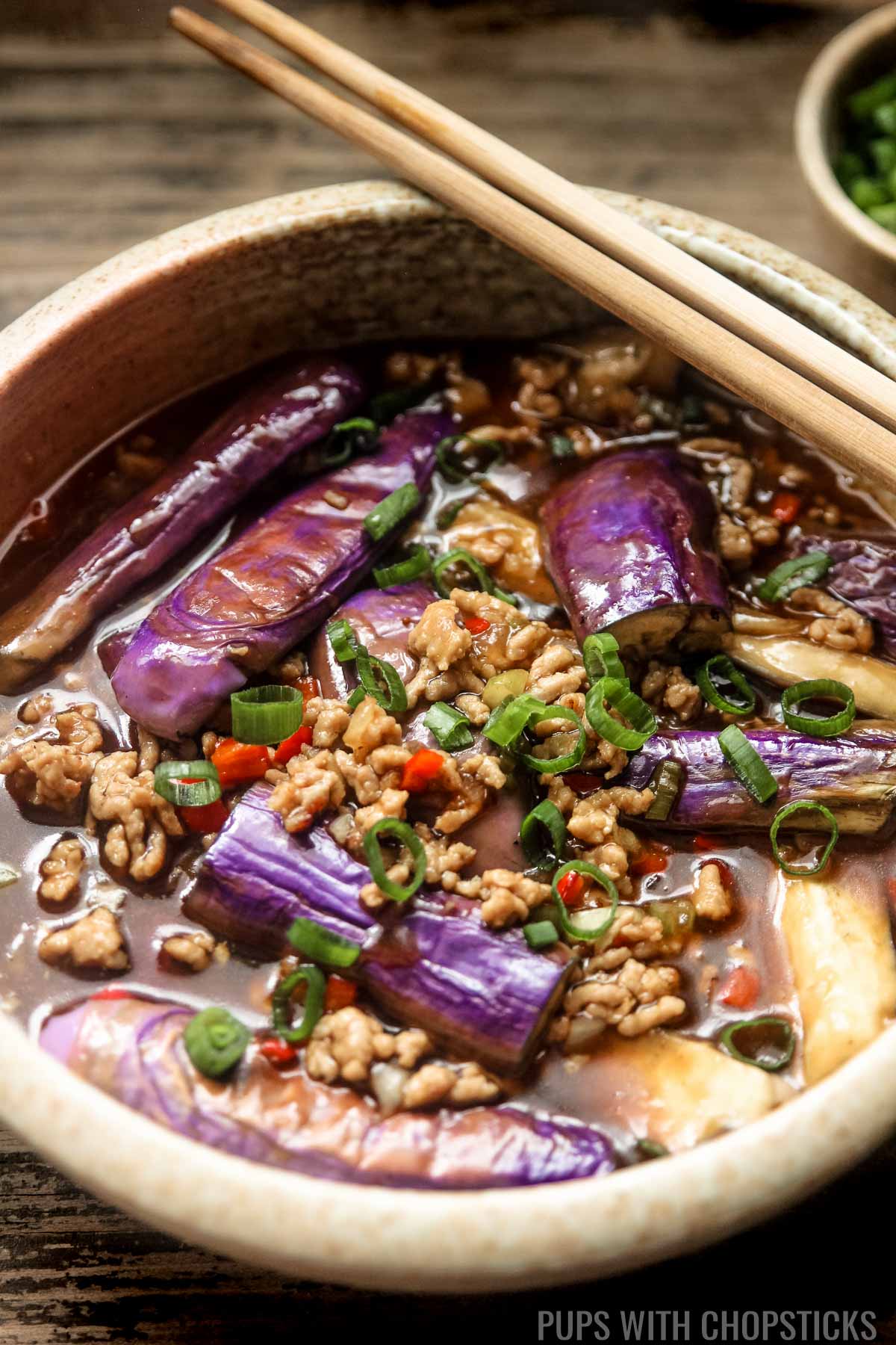 Chinese eggplant with garlic sauce served with green onions on the side placed in a large bowl