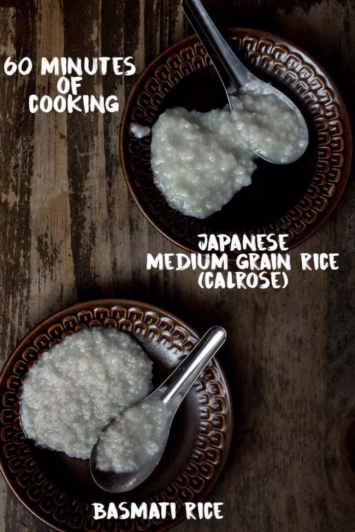 Rice cooked for 60 minutes to show the consistency of congee. Basmati rice is shown on the left and Calrose Japanese rice is shown on the right.