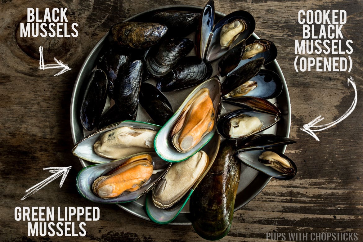 A plate showing two types of mussels, black mussels and green lipped mussels show casing their sizes