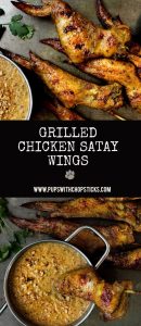Grilled Chicken Satay Wings