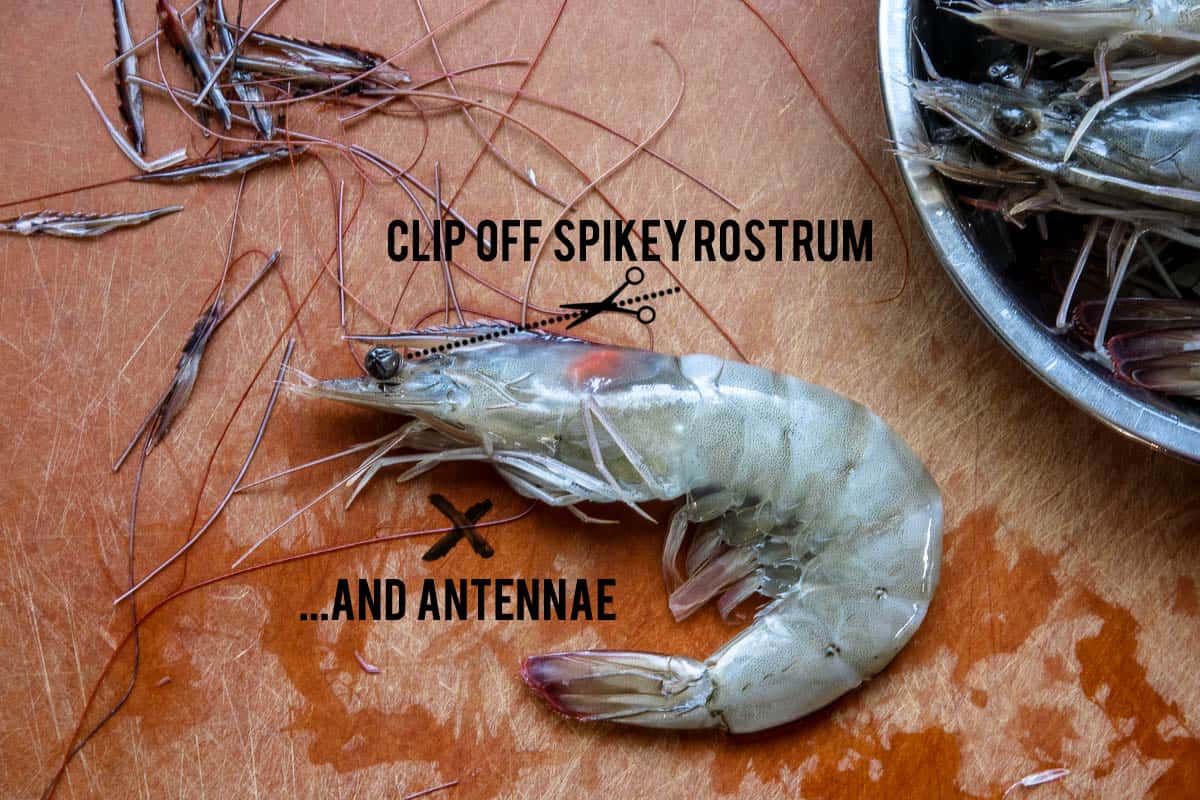 Clipping off rostrum and antennae on shrimp before using it for cooking.