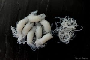 Shirataki noodles un-bundled and bundled both being shown on the table